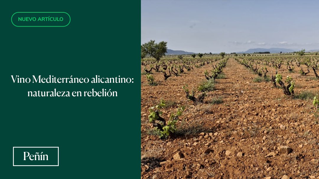 La Comunidad Valenciana se ha convertido en la cuna de un tipo de vinos “silvestres” y auténticos, y muestra de ello son bodegas como Colección de Toneles Centenarios, Javi Revert o Casa Balaguer, entre muchas otras📍🍷

➡️guiapenin.wine/magazine-sobre…