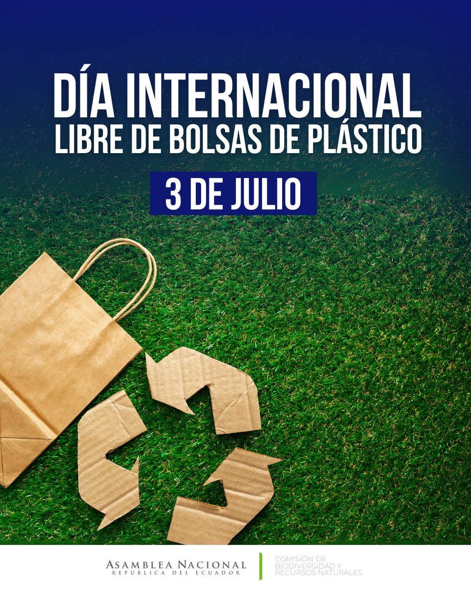 Día Internacional Libre de Bolsas de Plástico, desde la Comisión de Biodiversidad te invitamos a rechazar el plástico de un solo uso.

🌱 Pequeñas acciones, grandes cambios.

#DíaSinBolsasPlásticas #BiodiversidadEC
