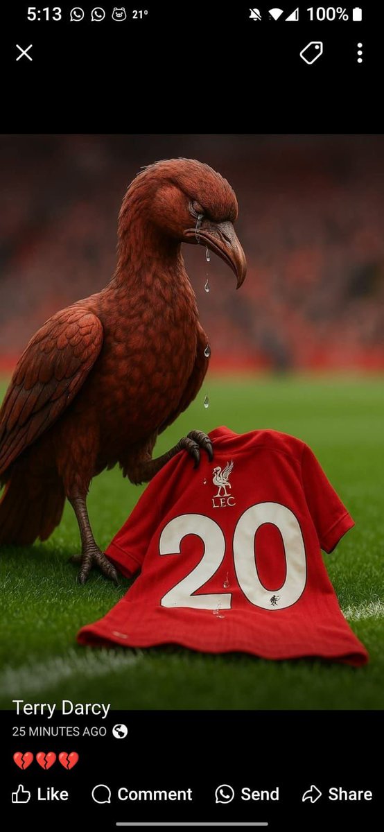 #Jota #YNWADiogo #YNWA #20