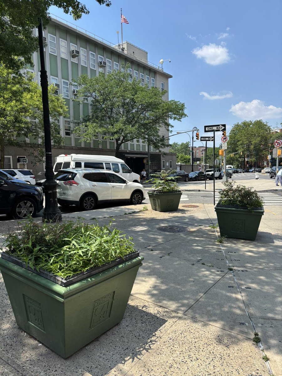 Daniel A Solow tweet media