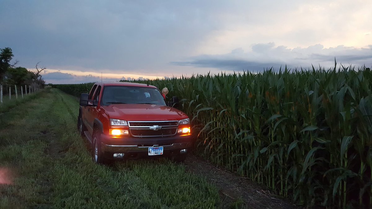 5150Farms's tweet image. 2 things I’ll never see again
The red LBZ 🥲
And July 3rd corn looking this good
Pic is from 2018 when this field made 245