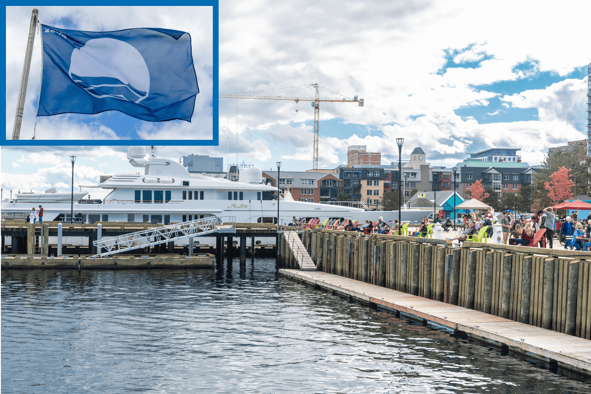Build Nova Scotia (@buildnovascotia) on Twitter photo We’re proud to once again fly the internationally recognized Blue Flag—marking our commitment to environmental sustainability, safety, and accessibility.
Read the full story here:
buildns.ca/news/halifax-w…
<a href="/swimdrinkfish/">Swim Drink Fish</a> #BlueFlag We’re proud to once again fly the internationally recognized Blue Flag—marking our commitment to environmental sustainability, safety, and accessibility.
Read the full story here:
buildns.ca/news/halifax-w…
<a href="/swimdrinkfish/">Swim Drink Fish</a> #BlueFlag
