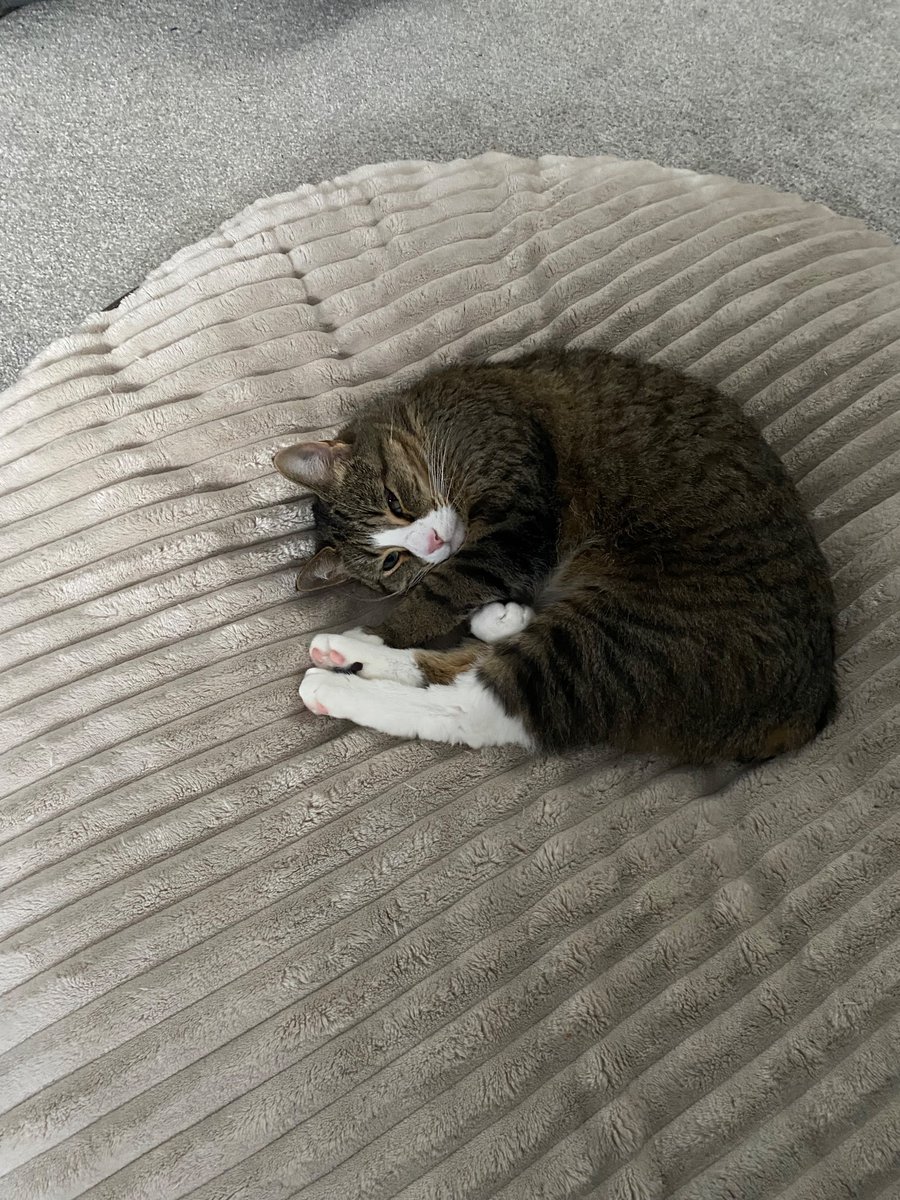 what does he do to be so sleepy?