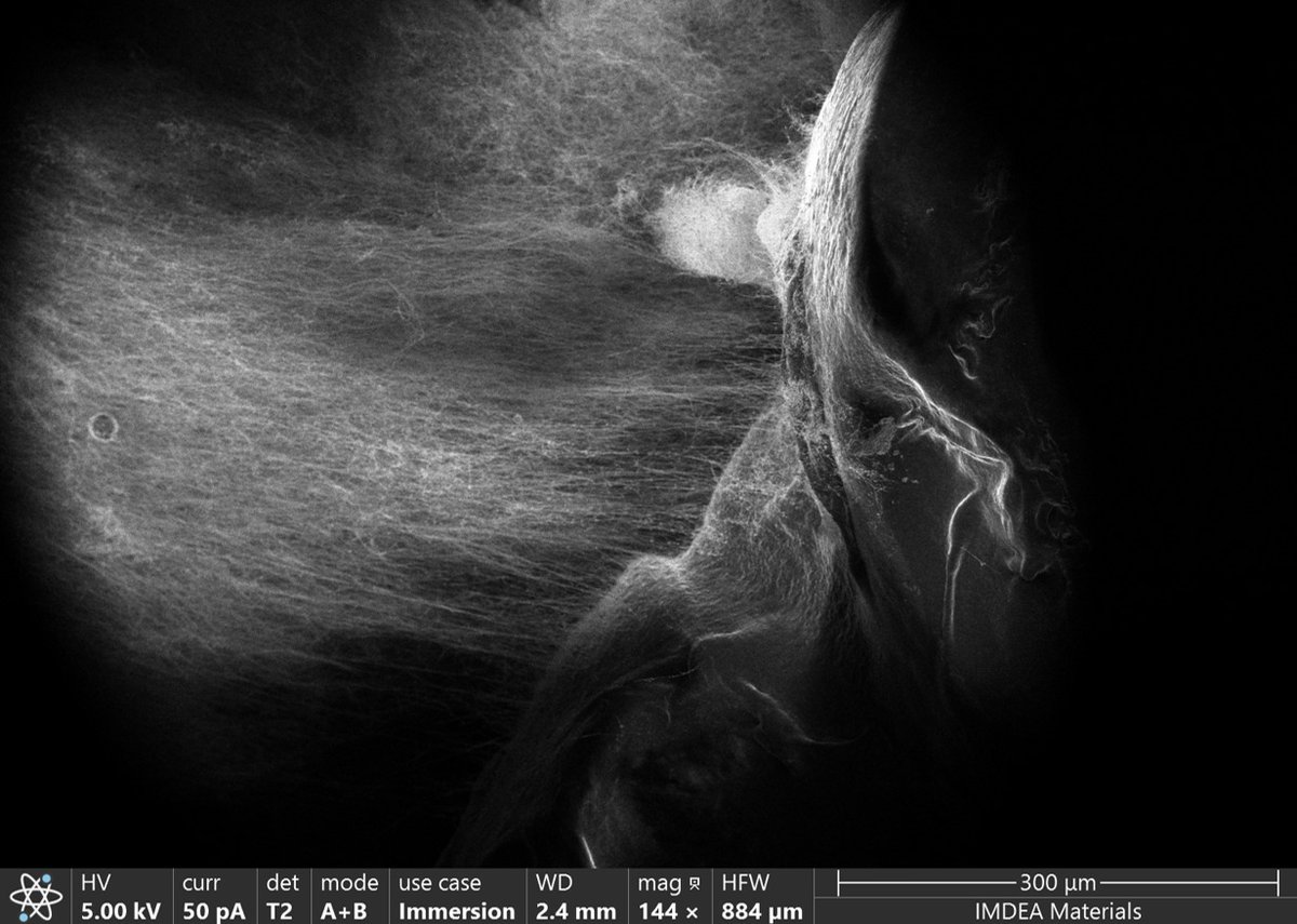 Dr. Isabel Gomez Palos won second place in the Public Choice category at the IMDEA Materials Imaging Contest with her photo Nanowire Storm. In swirling currents of gas-phase synthesis, millions of SiC nanowires rise and intertwine, conjuring a tiny yet phantasmagoric landscape.