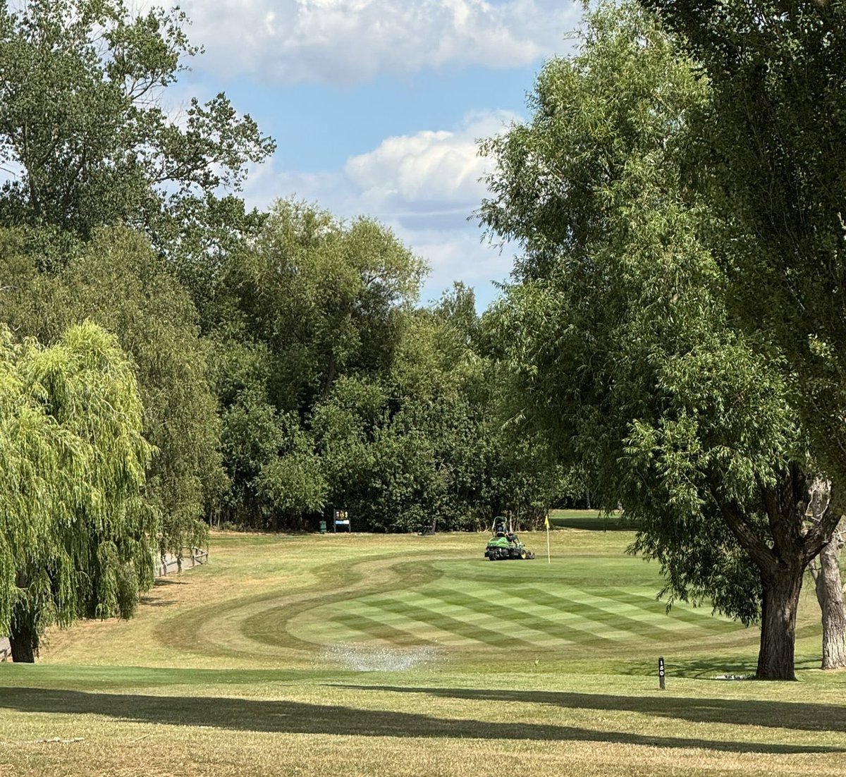 Nath Davis tweet media