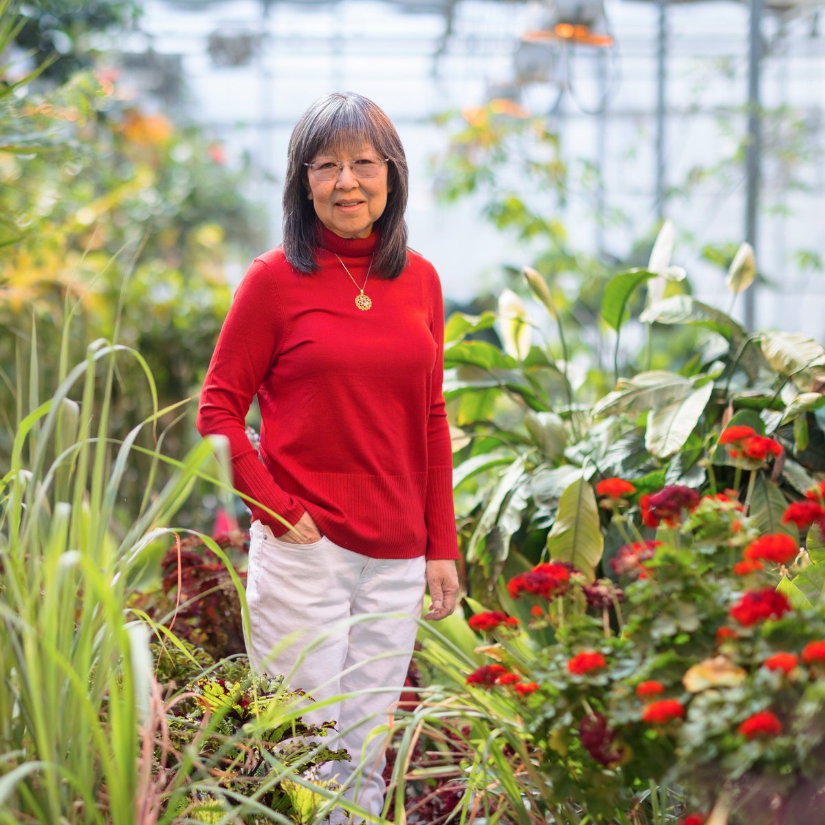 USask PlantSci tweet media