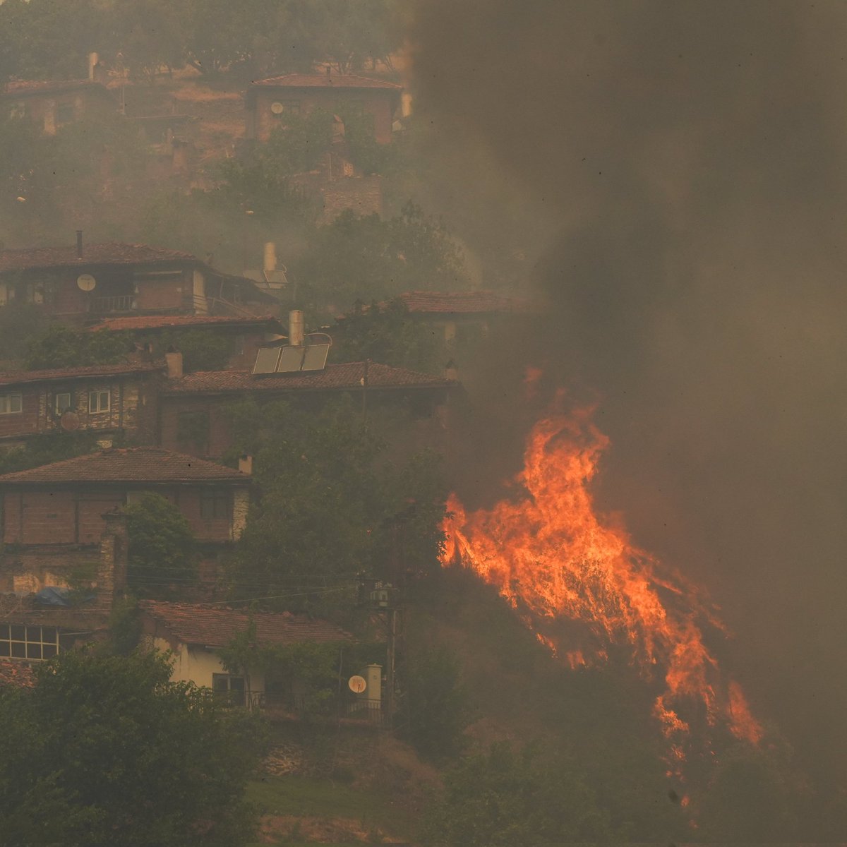 🔴 Türkiye'de bir haftada 576 orman yangını çıktı.