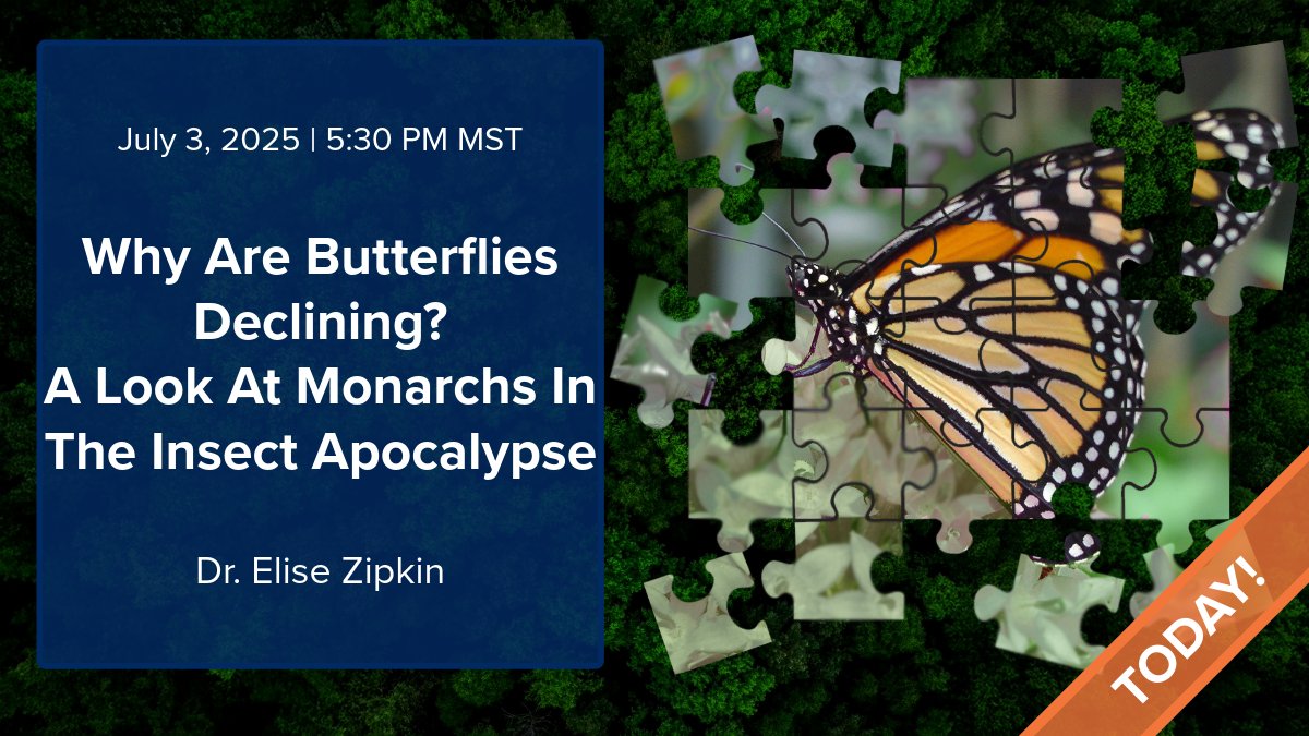 UW-NPS Research tweet media