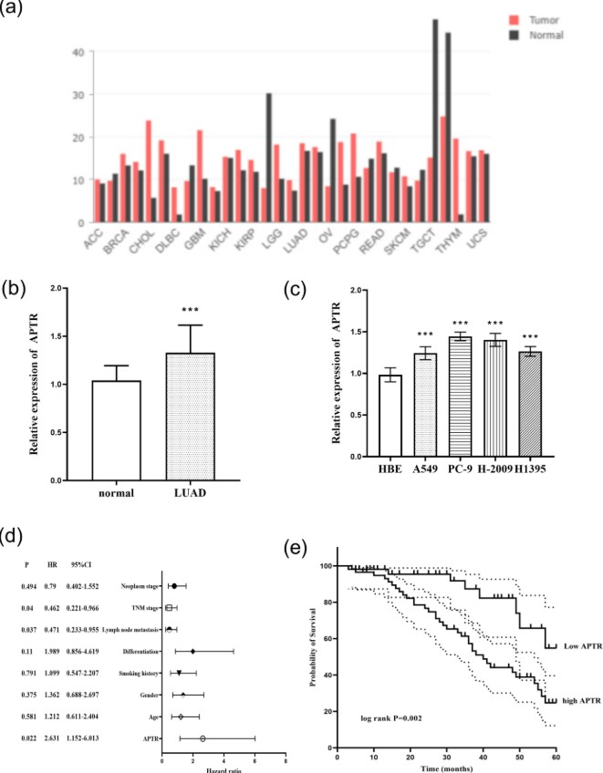 BegellMedical's tweet image. Expression and Significance of the Long Non-Coding RNA APTR in the Occurrence and Development of Lung Adenocarcinoma

dl.begellhouse.com/journals/0ff45…

#CancerResearch #LungAdenocarcinoma #NonCodingRNA