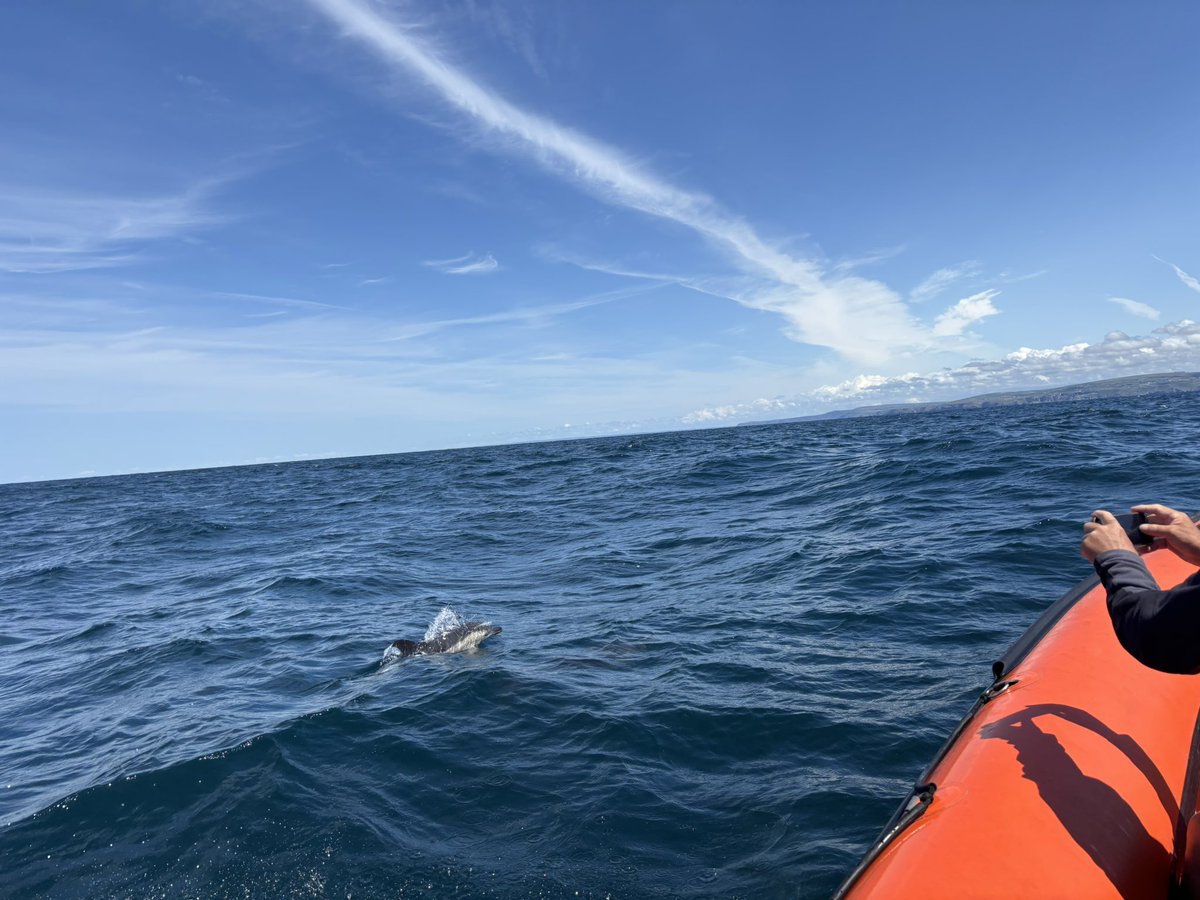 Appleby Cornwall (@applebycornwall) on Twitter photo Quite the day for a boat trip with <a href="/Wavehunters_UK/">Wavehunters_UK</a> today - glad the dolphins came out to play too #cornwall Quite the day for a boat trip with <a href="/Wavehunters_UK/">Wavehunters_UK</a> today - glad the dolphins came out to play too #cornwall