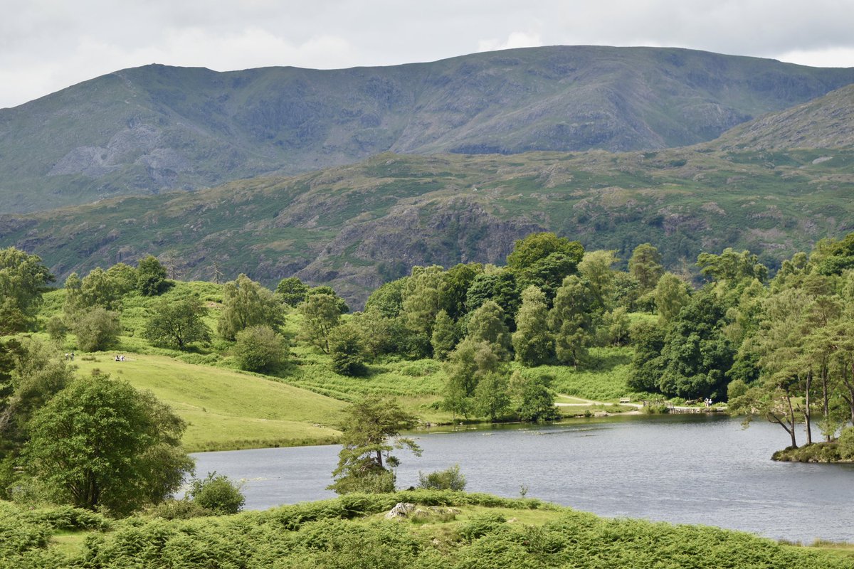 Andrew🥾⛰🏴 (@andrewj3759) on Twitter photo Walk to Tarn Hows today,heading home tomorrow😔Would like to thank you all for allowing me to tag you and share my adventure.
<a href="/RathboneKeswick/">Rathbones of Keswick</a>
<a href="/magsLancashire/">Mags</a>
<a href="/JohnGal_luvlife/">John Gallagher</a>
<a href="/PeterLazzari1/">Peter Lazzari 🇺🇦🍦🍺 🐿️</a>
<a href="/WildIndigoArt/">Wild Indigo Artisan Design</a> Walk to Tarn Hows today,heading home tomorrow😔Would like to thank you all for allowing me to tag you and share my adventure.
<a href="/RathboneKeswick/">Rathbones of Keswick</a>
<a href="/magsLancashire/">Mags</a>
<a href="/JohnGal_luvlife/">John Gallagher</a>
<a href="/PeterLazzari1/">Peter Lazzari 🇺🇦🍦🍺 🐿️</a>
<a href="/WildIndigoArt/">Wild Indigo Artisan Design</a>