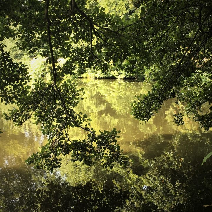 Art of the Day: "Dappled Shadey Lakeside Retreat". Buy at: ArtPal.com/Altiora?i=1425…