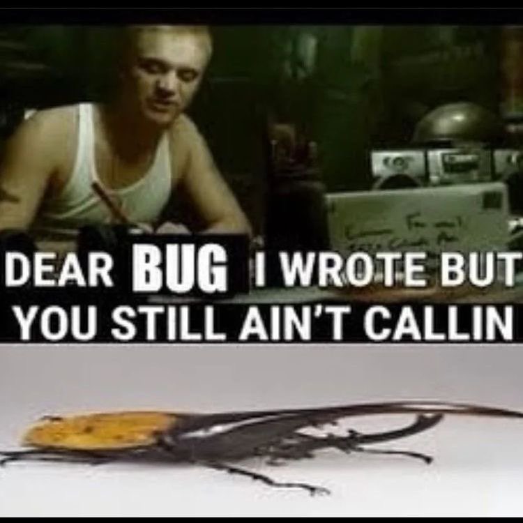 Palmolive (@pinkfloydsuckss) on Twitter photo 