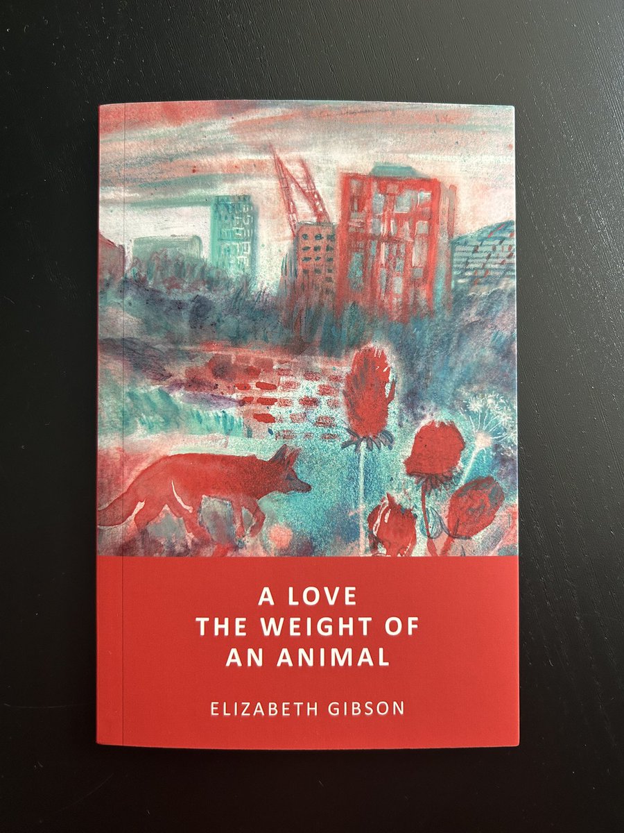 Lou Mach (@louloumach) on Twitter photo Happy publication day to <a href="/Grizonne/">Elizabeth Gibson (they/them) ๐</a> - canโt wait to get stuck into this! โค๏ธ Happy publication day to <a href="/Grizonne/">Elizabeth Gibson (they/them) ๐</a> - canโt wait to get stuck into this! โค๏ธ
