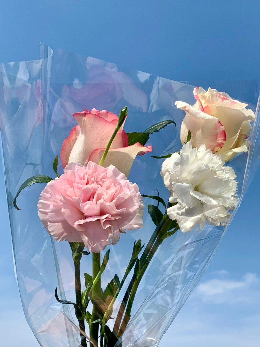 お花って不思議🌸　眺めてるだけで「今日も頑張ろう」って思えるんです📷 ✨