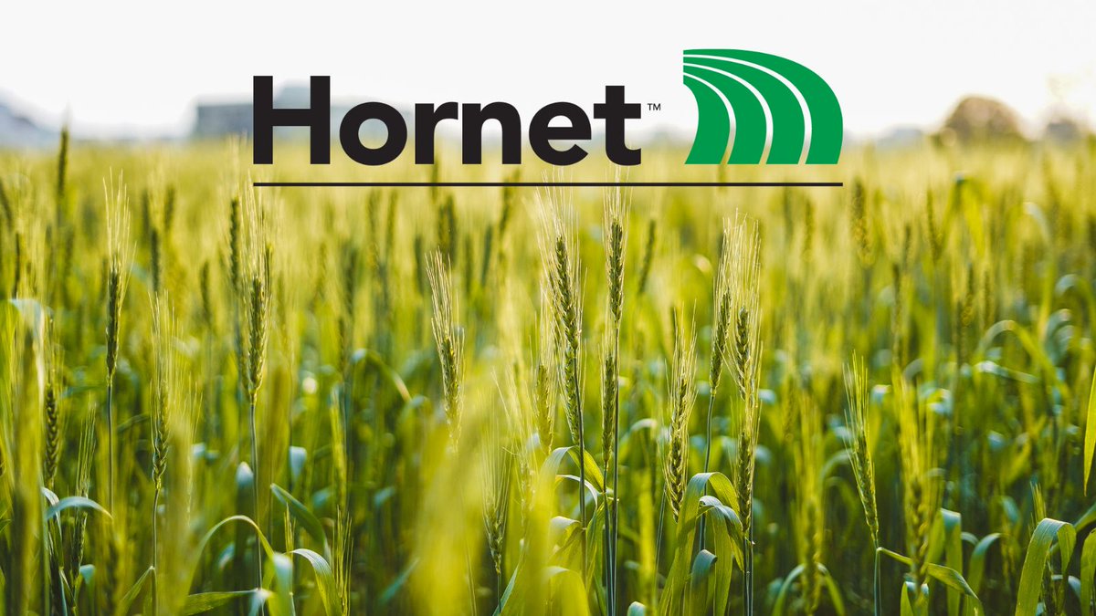 Protect your cereal crops from fusarium and rust while boosting your Nufarmer Nation rewards with #Hornet fungicide! Discover the benefits: bit.ly/3W37N3j #WestCdnAg