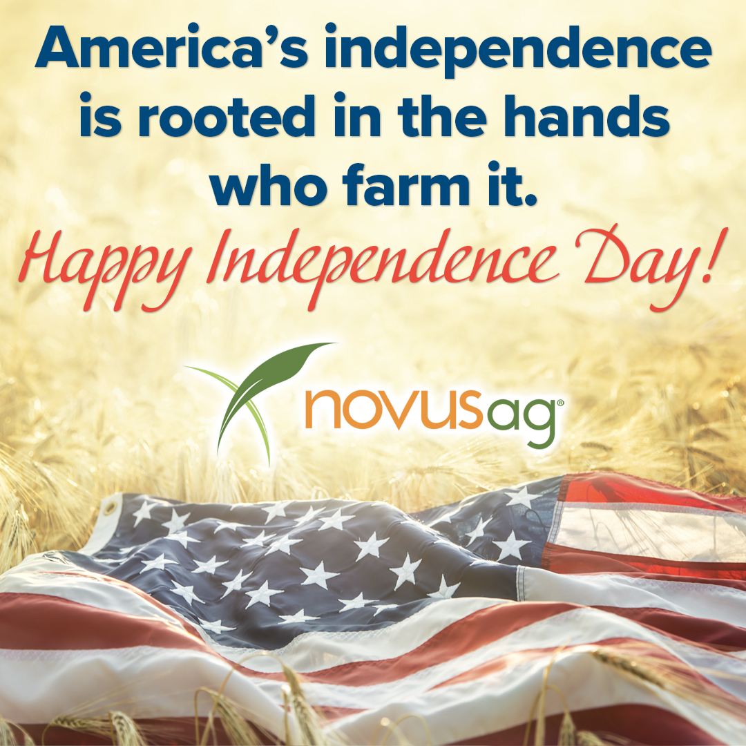 Be grateful for your independence, be grateful for our farmers, and enjoy the 4th of July holiday!
#agriculture #novusag #america #freedom #independenceday2025