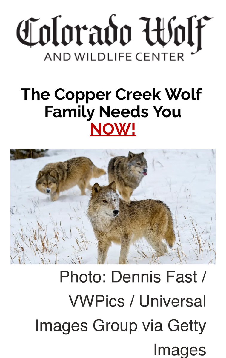 SamanthasLaw's tweet image. #CWWC 
wolfeducation.org/so/4dPV33_Wc?l…