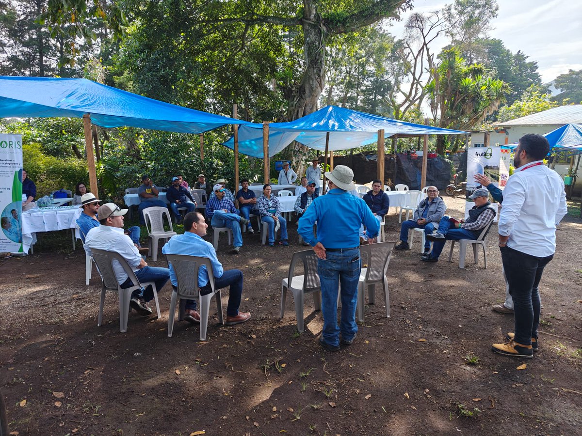 Como parte del #CongresoAguacate2025, se llevab a cabo giras de campo que conectan a productores, expertos y aliados estratégicos con experiencias reales, tecnologías innovadoras y buenas prácticas agrícolas. 🥑

Cada recorrido representa una oportunidad para fortalecer la cadena