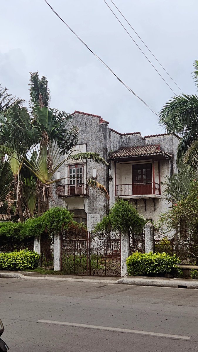 Victoria Ferraris tweet media