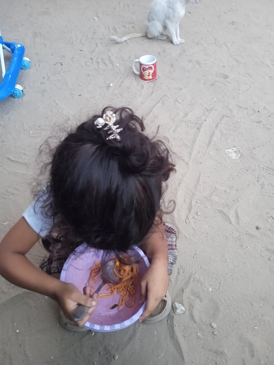 Hanan_Gaza7's tweet photo. Fighting hunger 🍞, illness 🏥, and loneliness 😔
At this turning point in life, I need your support 🙏❤️
Just a little help 🤲 can bring a big ray of hope ✨

https://t.co/oSjg1LxQN6 https://t.co/NQRSnaeT2m