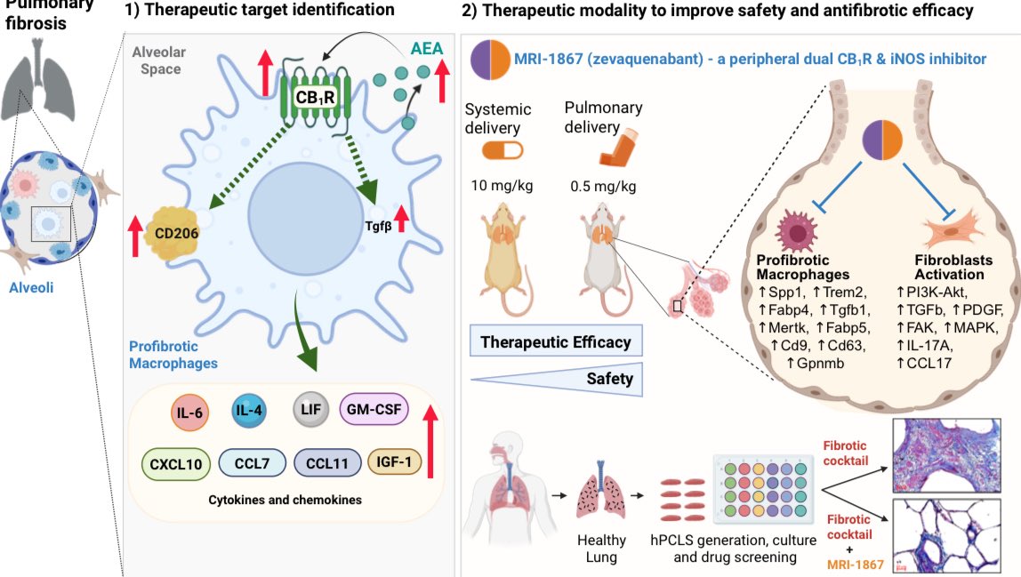 RESAT CINAR tweet media