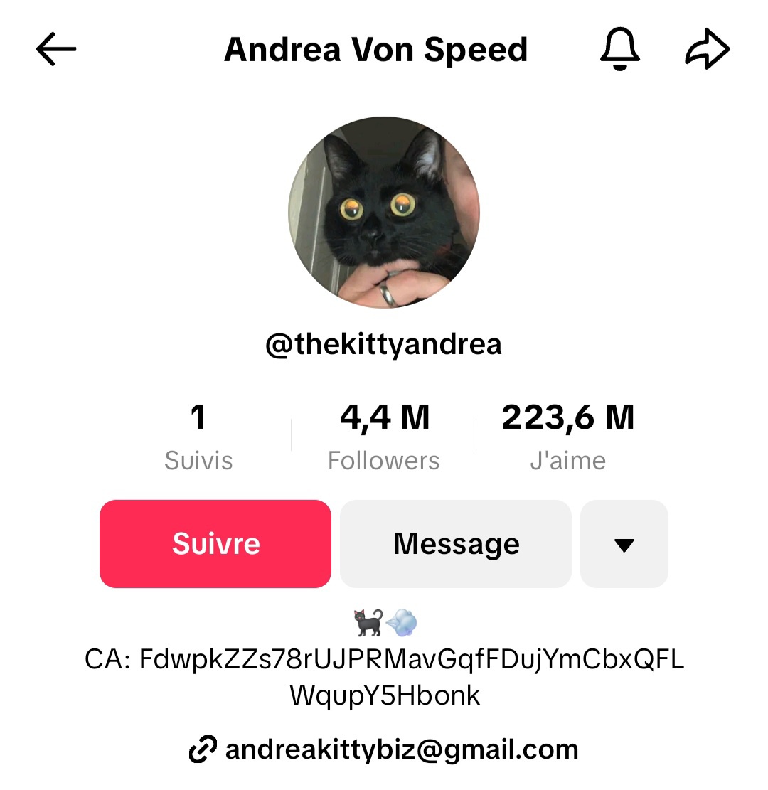 0xzerofuku's tweet photo. @1GoblinRich @tiktok_us I think it's time to promote $ANDREA bro. We're too undervalued to sit at 100k while we have 4.4M followers on tiktok, 1.4M on insta (both have the CA in bio), and we match with the current cat meta.

I know it's not kind to make comparisons but there you go: https://t.co/eK86GFwC7A