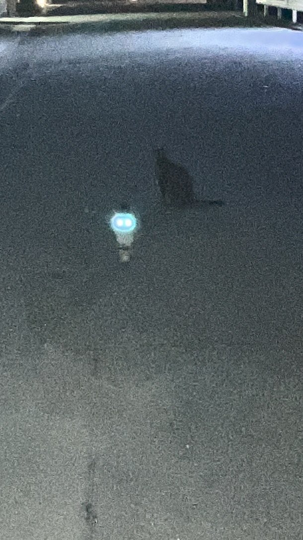 夜出歩いてたら怪異に出会った🩷