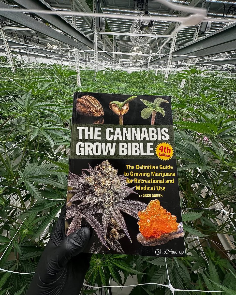 Gorilla Grow Tent tweet media