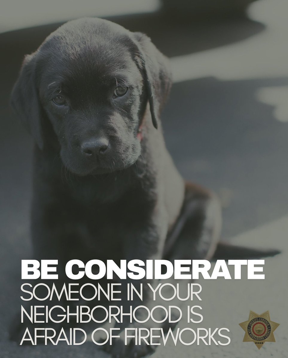 sbcountysheriff's tweet image. Fireworks and festivities are fun for us but frightening for pets.
As you celebrate this 4th of July, don’t forget about your four-legged family members:
🏡 Keep them indoors and away from loud noises
🔊 Use calming background noise like music or TV
🆔 Make sure they’re…