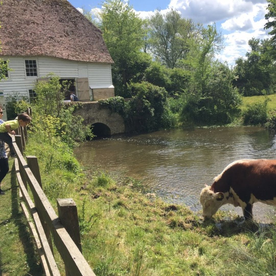 CambridgePPF's tweet photo. 💧 Step back in time at Hinxton Watermill!
🗓 Sun 6 July | 2:30–5pm (last entry 4:30)
🌾 Explore a working 17C watermill, enjoy riverside walks & join the fun "Where's Ratty?" trail for kids!
🎟 £3/£1 | Members free
#ThingsToDoInCambridge #HinxtonWatermill https://t.co/VdS4q4WFRP