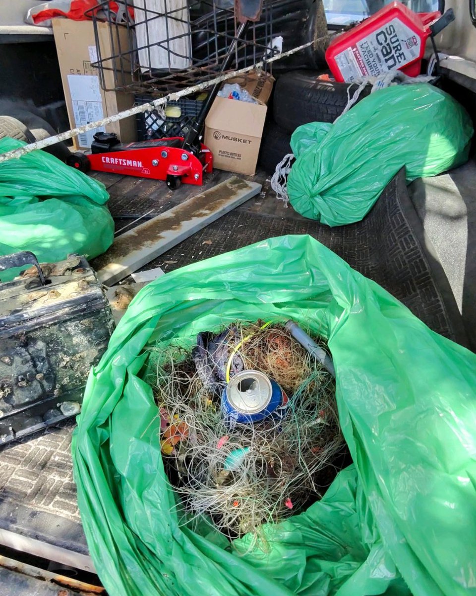 floridaaquarium's tweet image. This month we’re celebrating Plastic Free July! 🌊

Unfortunately, millions of plastics end up in the ocean every year, hurting marine life and their ecosystems. #PlasticFreeJuly focuses on raising awareness about this issue and initiates long lasting changes for less plastic use