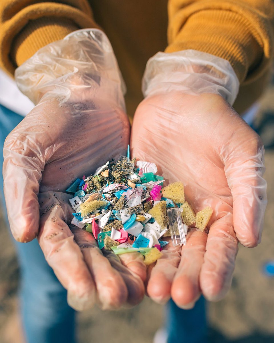 floridaaquarium's tweet image. This month we’re celebrating Plastic Free July! 🌊

Unfortunately, millions of plastics end up in the ocean every year, hurting marine life and their ecosystems. #PlasticFreeJuly focuses on raising awareness about this issue and initiates long lasting changes for less plastic use
