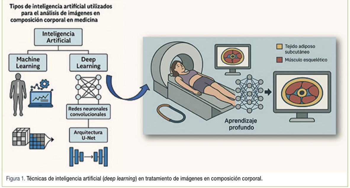 ¿Sabes para qué puede utilizarse Inteligencia artificial en el manejo de la imagen en Nutrición Clínica?