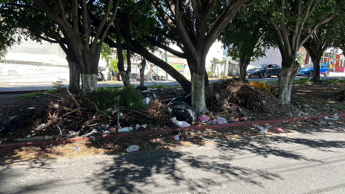 BotasNegras's tweet photo. @CuernavacaGob Frente a la unidad deportiva Chimalpa ubicada en Av. Universidad 106, Chamilpa, 62210 Cuernavaca, Mor., siempre el camellón está con basura y el municipio aún no hace nada. Ojalá lo limpien porque muchos niños pasan por ahí camino a su escuela. https://t.co/8FDAq7vBlA