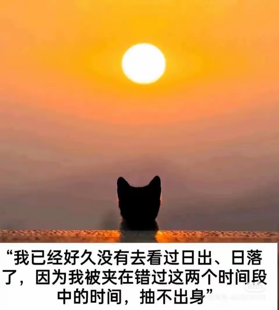 Timosky-Flan🇨🇳🇷🇺.hlab（爱国互fo） (@timoskyflan) on Twitter photo 