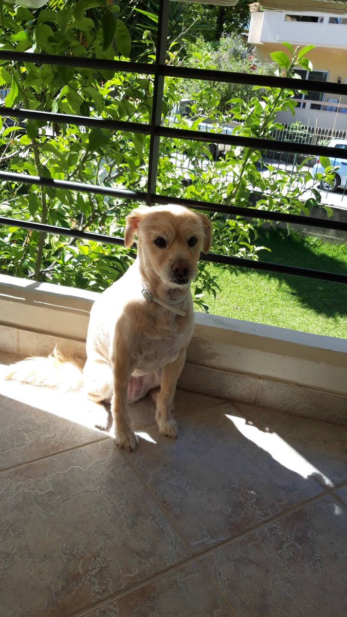 jim_alexakos⭐️ tweet media