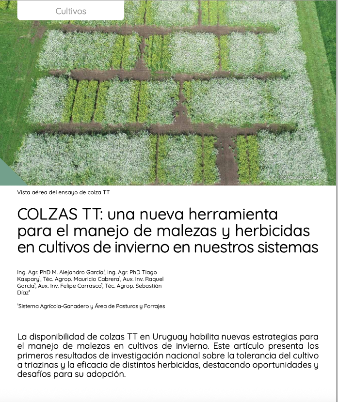 EduKaspary's tweet photo. Las colzas TT habilitan nuevas estrategias para el manejo de malezas en cultivos de invierno. Resultados de investigación sobre la tolerancia del cultivo a triazinas y la eficacia de distintos herbicidas, oportunidades y desafíos. Info completa en:https://t.co/s7dixHROkJ https://t.co/BmuRDU1lSx