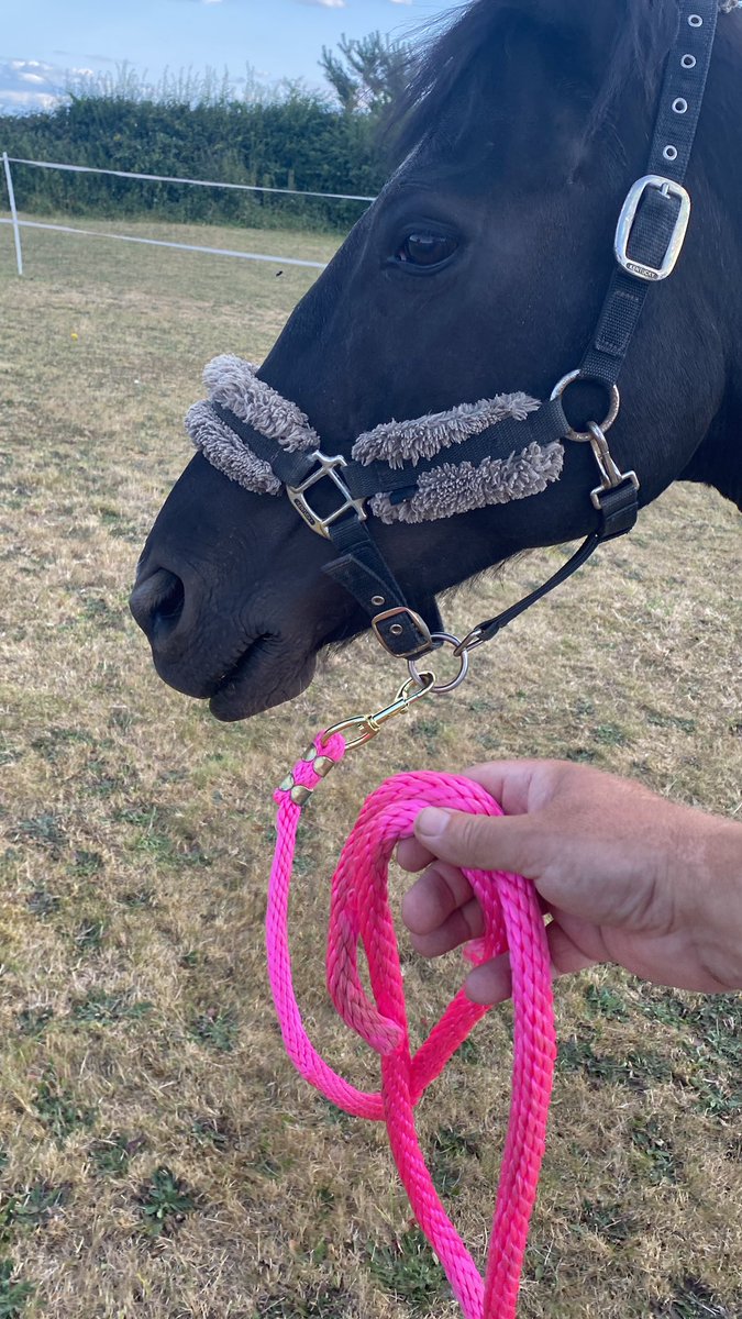 Hot pink? Really! Let’s get in quick before anyone sees us!