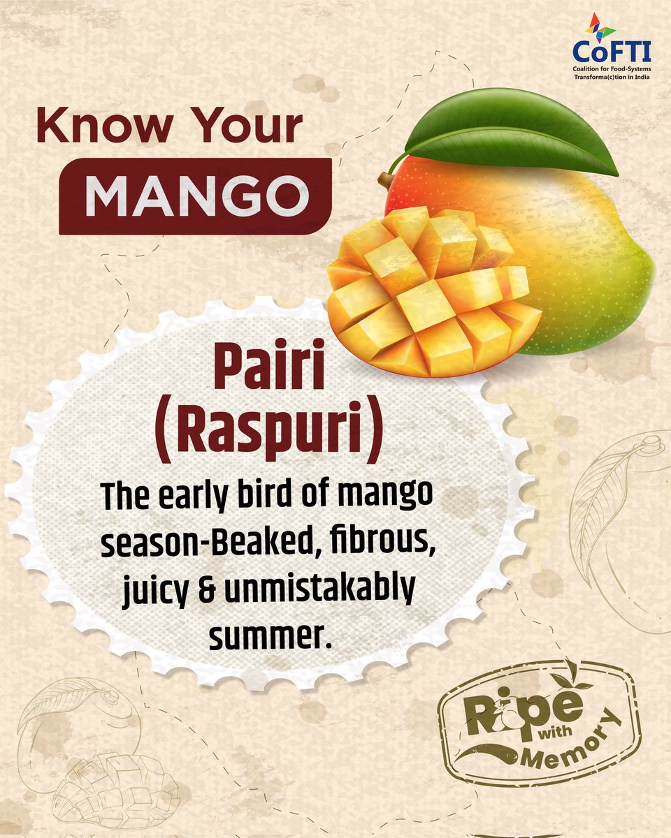 Cofti_india's tweet image. Pairi - Karnataka’s tangy-sweet signal that summer’s here.
Also called Raspuri, it’s juicy, aromatic, and shaped with a signature “beak.” Slightly fibrous, perfect for aamras or slurping straight from the skin.
Got a Pairi memory?👇
#RipeWithMemory #Pairi #KnowYourMango #CoFTI