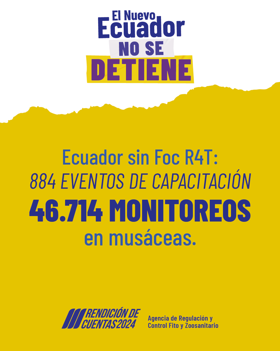 🍌 Trabajamos de la mano con productores, gremios y academia en capacitaciones, monitoreos e implementación de medidas de bioseguridad para mantener a Ecuador libre de #FocR4T.

#RendiciónDeCuentas2024✅