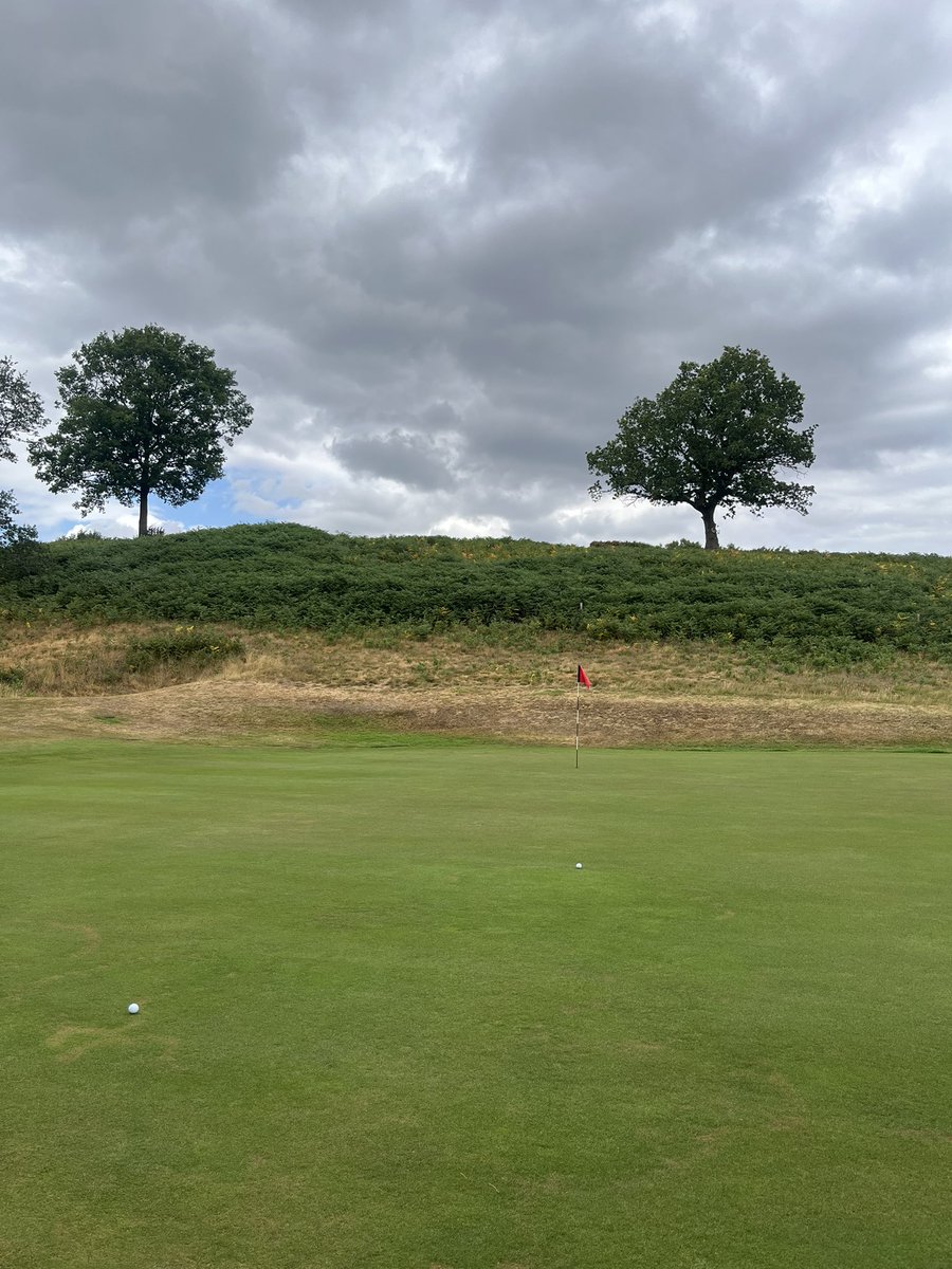Dale ‘Golf Geek’ (@golfgeek6) on Twitter photo Couple of days testing the game <a href="/Hollinwell/">Hollinwell</a> & <a href="/AlwoodleyGC/">Alwoodley Golf Club</a> … Both superb courses and always on the golfing schedule. . AGC in particular was in incredible condition.
Always a pleasure to play these courses. Couple of days testing the game <a href="/Hollinwell/">Hollinwell</a> & <a href="/AlwoodleyGC/">Alwoodley Golf Club</a> … Both superb courses and always on the golfing schedule. . AGC in particular was in incredible condition.
Always a pleasure to play these courses.
