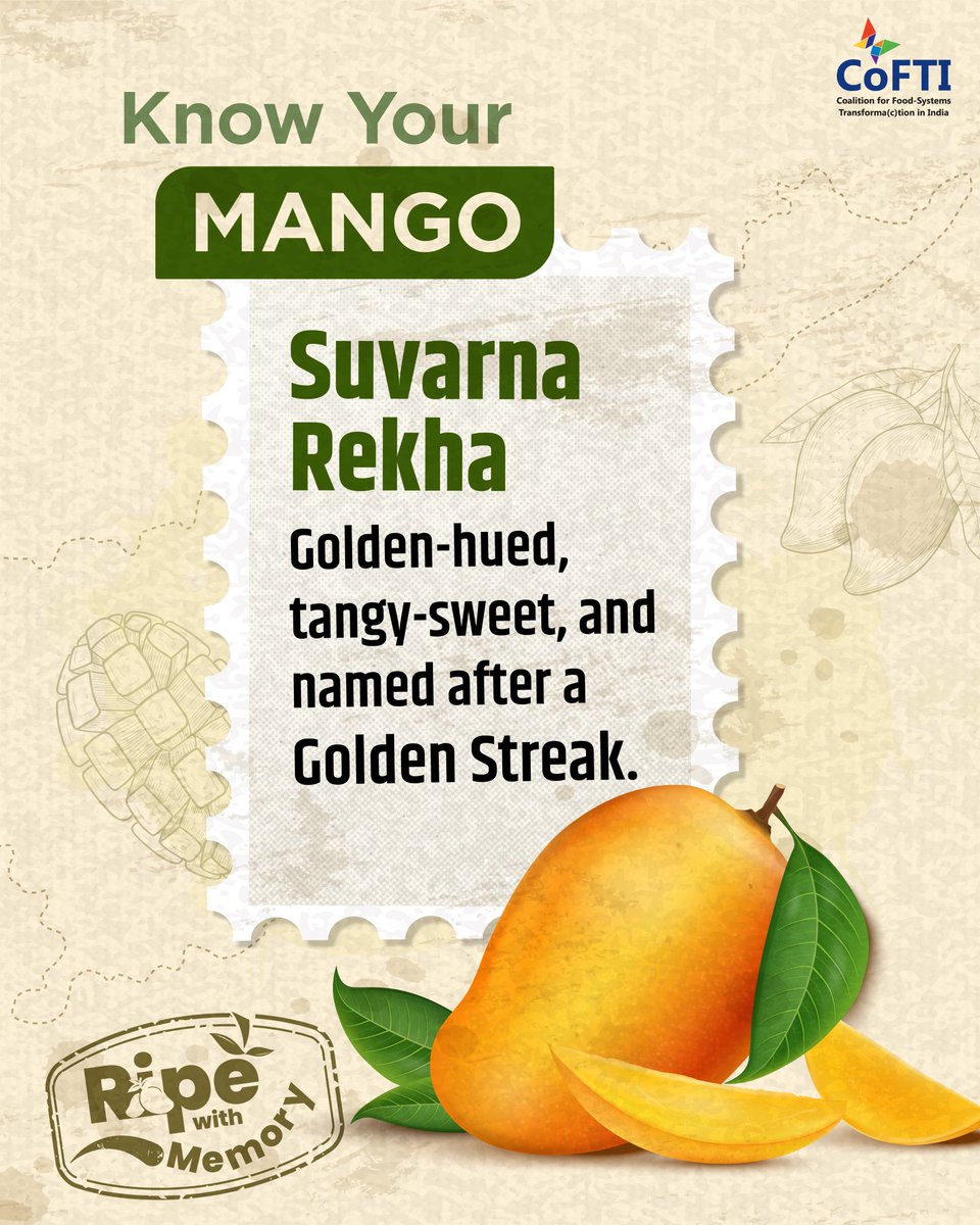Cofti_india's tweet image. Suvarna Rekha -the golden-hued jewel of coastal Andhra.
Tangy-sweet, early to ripen, and rooted in red loamy soils, this mango travels from Vizianagaram to Bengal’s mandis-carrying stories with every bite.
Got a memory? Share it👇
#RipeWithMemory #SuvarnaRekha #KnowYourMango