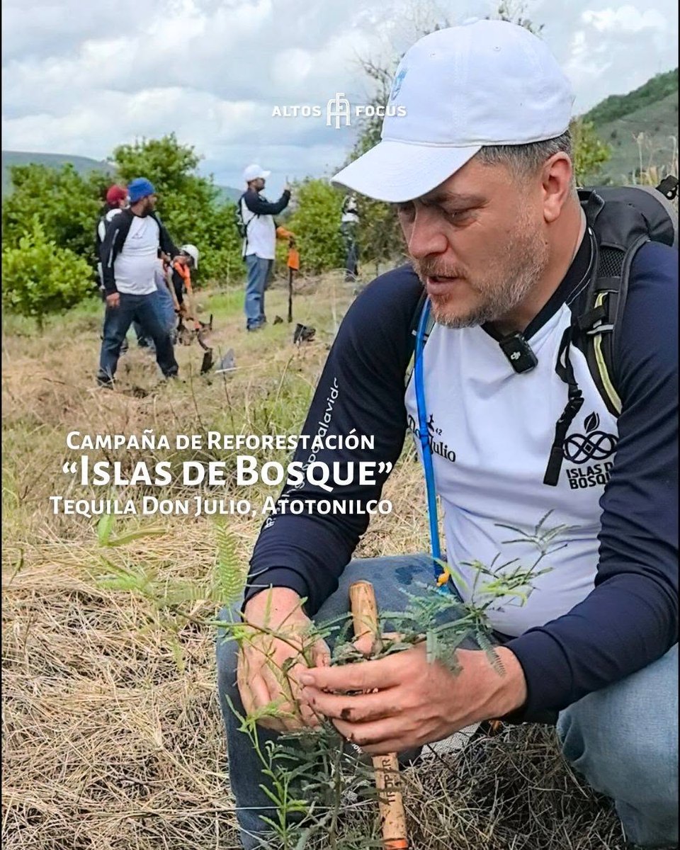 AltosFocus tweet media