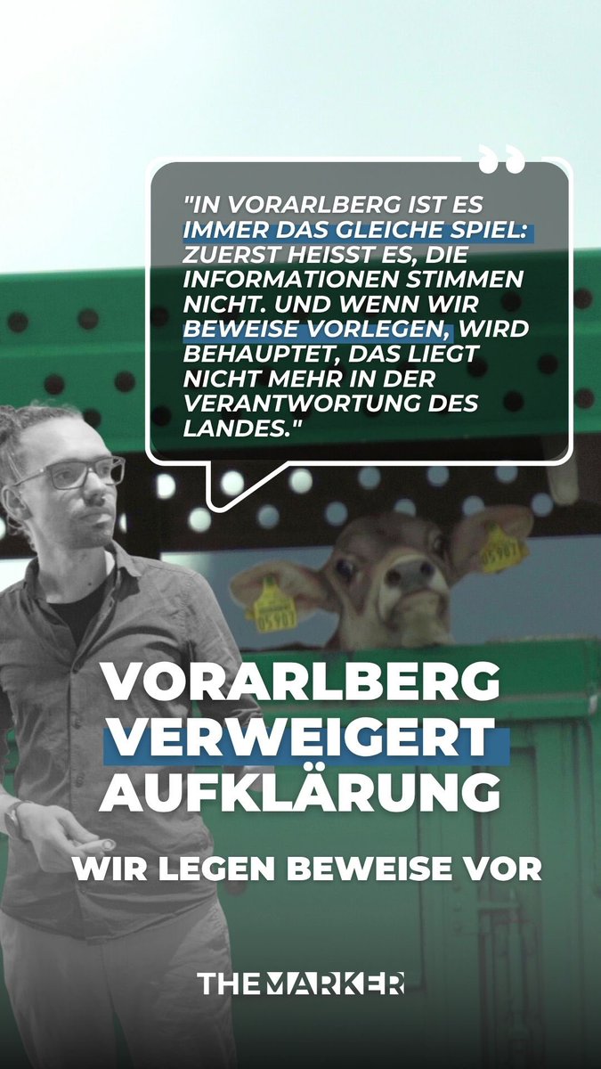 Land Vorarlberg stellt unsere Rechercheergebnisse zu Kälbertransporten infrage – Transportdokumente und die AMA-Rinderdatenbank belegen klar, dass Tiere aus Mellau und Lochau nach Spanien transportiert und zu einem späteren Zeitpunkt weiter nach Ägypten verschifft wurden.