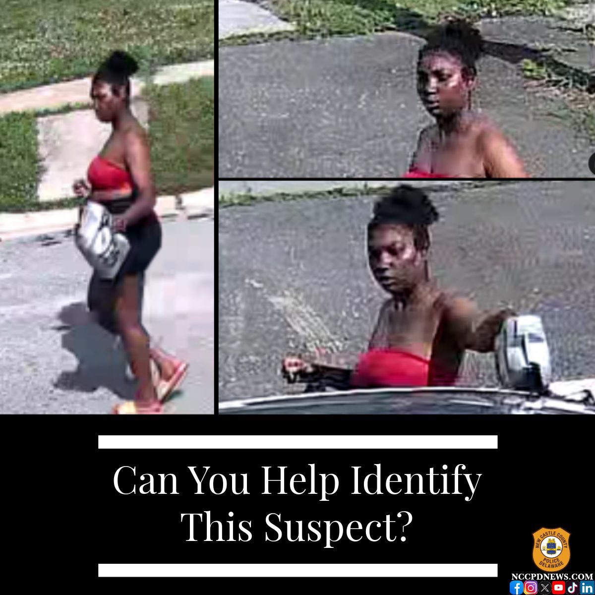 CAN YOU HELP IDENTIFY THIS SUSPECT?

nccpdnews.com/2025/07/03/can…

#nccpd #nccde #netde