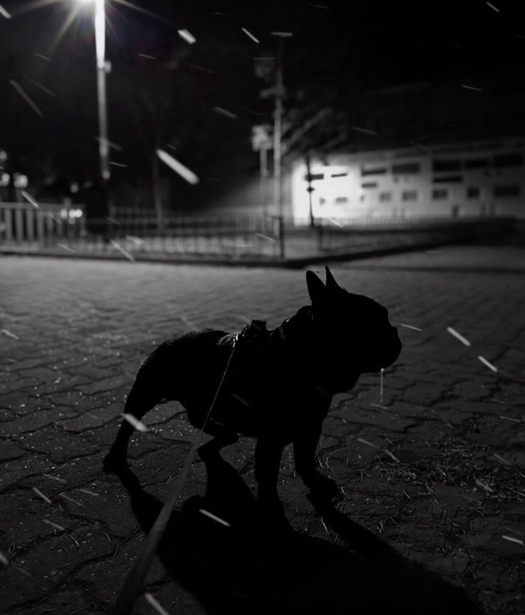 Buon Ponte Bat Cocco ❤️🌈