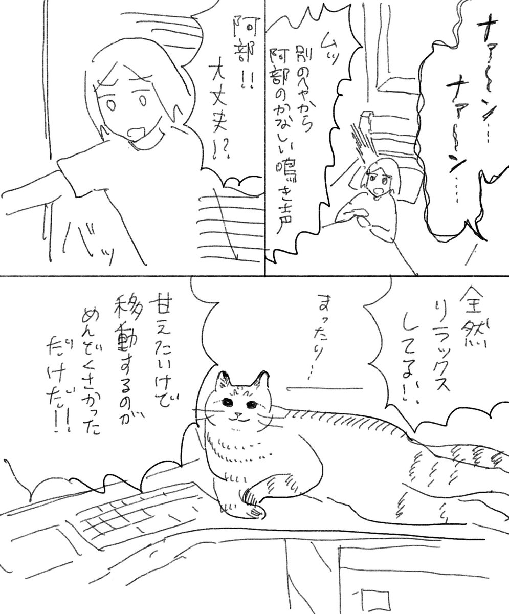 ttk3k's tweet image. 猫日記