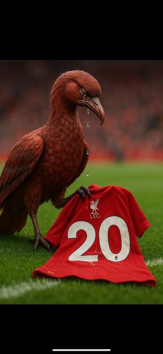 FerrisGary's tweet photo. @LFC https://t.co/wJ0n8NAU5Y