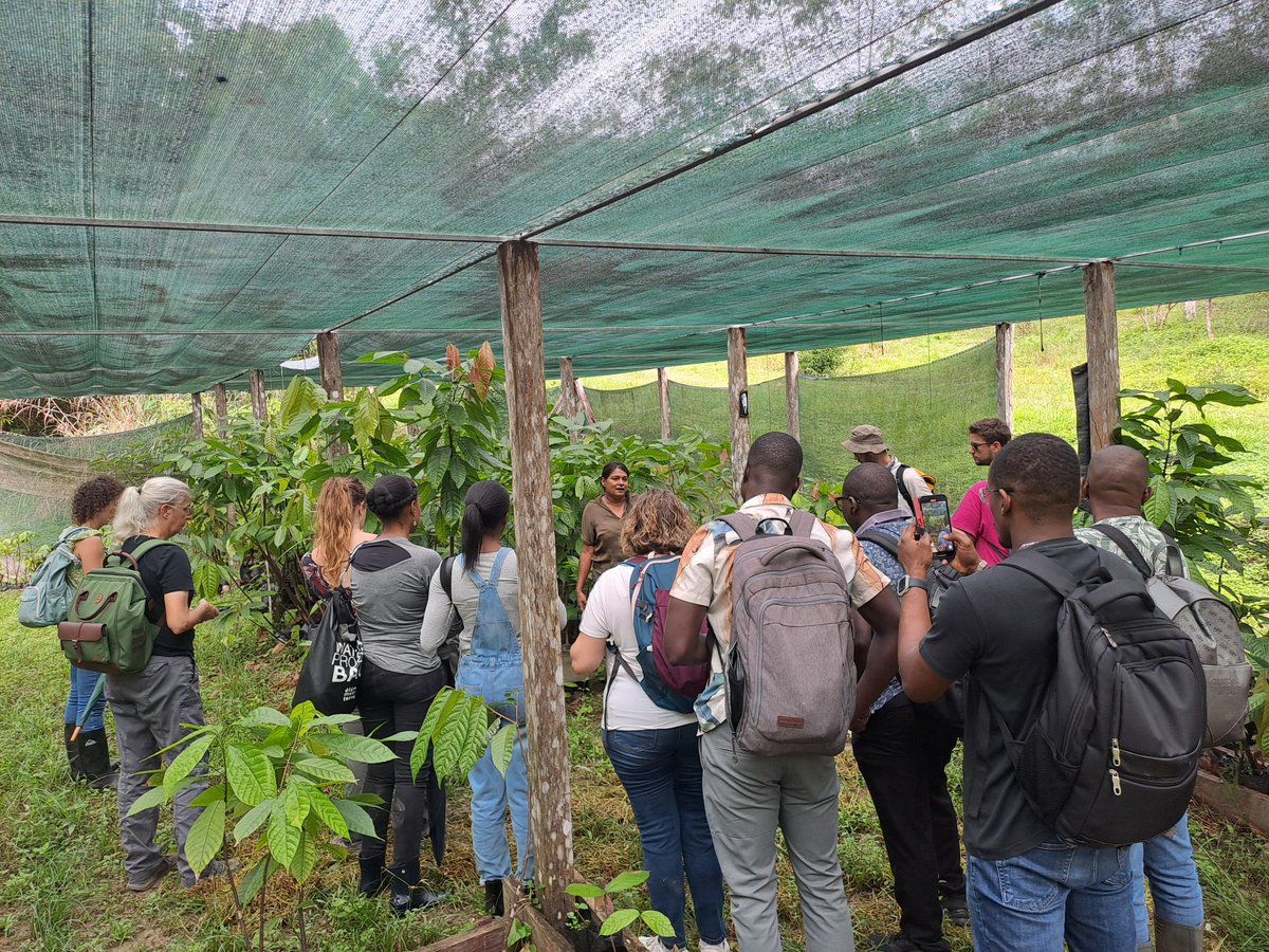 Maison pour la science en Guyane tweet media